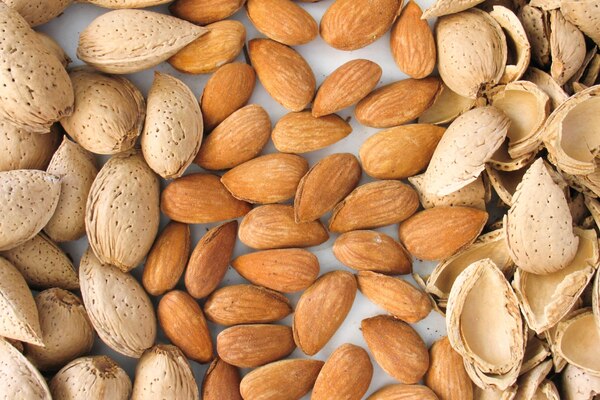 بادام از غرفه saveyafruits